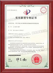 證書(shū)-一種用于篩選PARP抑制劑靶向藥物敏感患者的檢測(cè)試劑盒-實(shí)用新型