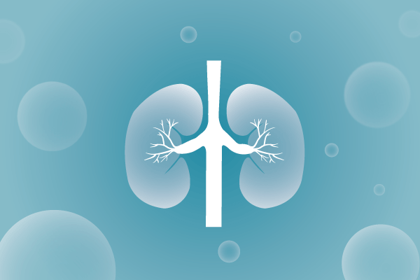 泌尿系統(tǒng)，腎臟，膀胱，尿病，腎不好遺傳病、基因病、罕見病的基因解碼，基因檢測，基因篩查與分子診斷