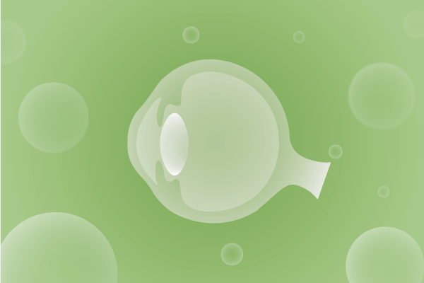 眼科，視光中心，眼科診所，眼睛相關(guān)遺傳病、基因病、罕見病的基因解碼，基因檢測，基因篩查與分子診斷