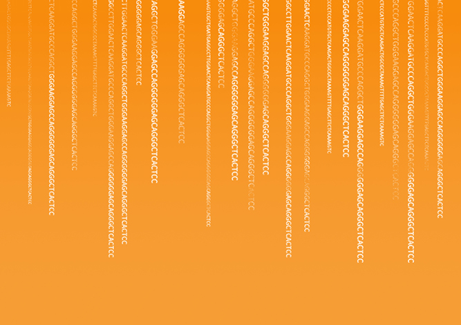 【佳學(xué)基因檢測】怎么做Kabuki綜合征基因解碼、<a  data-cke-saved-href=http://www.hncxn.com/tk/jiema/cexujishu/2021/31933.html href=http://www.hncxn.com/tk/jiema/cexujishu/2021/31933.html>基因檢測</a>?