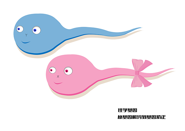 【佳學(xué)基因檢測】瞼裂降低基因解碼、<a href=http://www.hncxn.com/tk/jiema/cexujishu/2021/31933.html>基因檢測</a>報(bào)告時(shí)間是一樣的嗎？