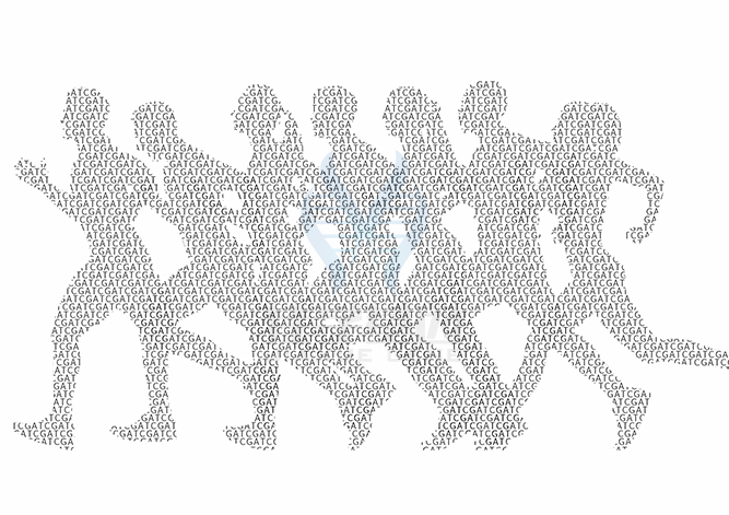 【佳學(xué)基因檢測】做皮質(zhì)酮甲基氧化酶缺乏基因解碼、<a href=http://www.hncxn.com/tk/jiema/cexujishu/2021/31933.html>基因檢測</a>需要到總部嗎？