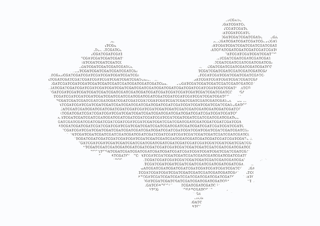 【佳學(xué)基因檢測】中樞性性早熟基因解碼、<a href=http://www.hncxn.com/tk/jiema/cexujishu/2021/31933.html>基因檢測</a>報(bào)告看得懂嗎？