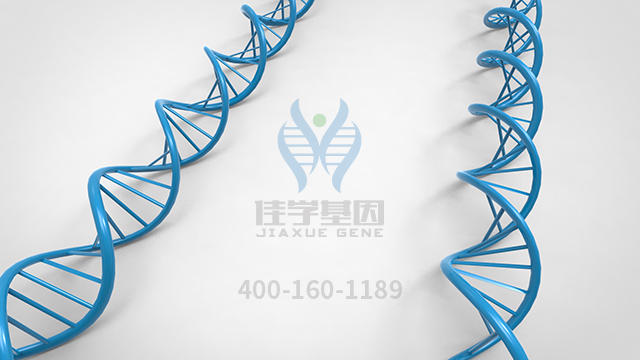 <b>【佳學(xué)基因檢測(cè)】原發(fā)性限局性皮膚淀粉樣變1型基因解碼、基因檢測(cè)報(bào)告時(shí)間</b>