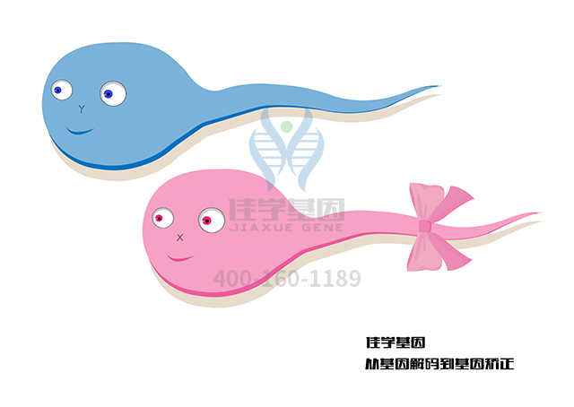 【佳學(xué)基因檢測(cè)】需要多長(zhǎng)時(shí)間可以拿Müllerian發(fā)育不全和雄激素過(guò)多癥基因解碼、<a href=http://www.hncxn.com/tk/jiema/cexujishu/2021/31933.html>基因檢測(cè)</a>報(bào)告？