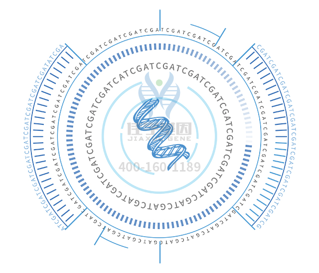 【佳學(xué)基因檢測】做神經(jīng)母細(xì)胞瘤基因解碼、<a href=http://www.hncxn.com/tk/jiema/cexujishu/2021/31933.html>基因檢測</a>需要多長時(shí)間？