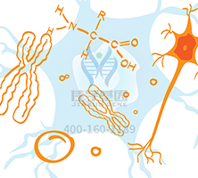 【佳學(xué)基因檢測】做Denys-Drash綜合征基因解碼、<a  data-cke-saved-href=http://www.hncxn.com/tk/jiema/cexujishu/2021/31933.html href=http://www.hncxn.com/tk/jiema/cexujishu/2021/31933.html>基因檢測</a>需要多少錢？