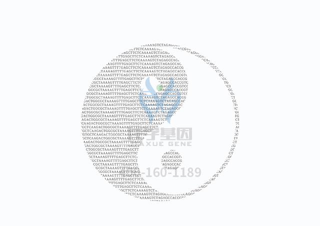 【佳學基因檢測】甲狀腺激素抵抗基因解碼、<a  data-cke-saved-href=http://www.hncxn.com/tk/jiema/cexujishu/2021/31933.html href=http://www.hncxn.com/tk/jiema/cexujishu/2021/31933.html>基因檢測</a>怎么預約解讀？