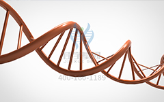 【佳學基因檢測】怎么做常染色體隱性廣泛性甲狀腺激素抵抗基因解碼、<a href=http://www.hncxn.com/tk/jiema/cexujishu/2021/31933.html>基因檢測</a>?