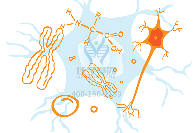 【佳學(xué)基因檢測】做Norwalk病毒感染抗性基因解碼、<a href=http://www.hncxn.com/tk/jiema/cexujishu/2021/31933.html>基因檢測</a>采用什么樣品？