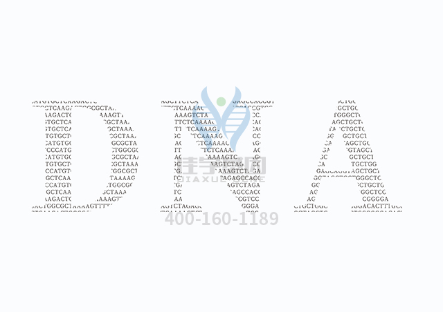 【佳學(xué)基因檢測(cè)】什么人要做由于ADA缺乏導(dǎo)致的SCID延遲發(fā)病型基因解碼、<a  data-cke-saved-href=http://www.hncxn.com/tk/jiema/cexujishu/2021/31933.html href=http://www.hncxn.com/tk/jiema/cexujishu/2021/31933.html>基因檢測(cè)</a>？