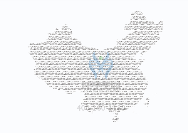 【佳學(xué)基因檢測】什么人要做家族性<font color='red'><font color='red'>乳腺癌</font>-<font color='red'>卵巢癌</font></font>2型基因解碼、基因檢測？