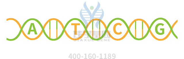 【佳學(xué)基因檢測】Townes-Brocks-branchiootorenal樣綜合征基因解碼、<a href=http://www.hncxn.com/tk/jiema/cexujishu/2021/31933.html>基因檢測</a>可以只做基因解碼嗎？