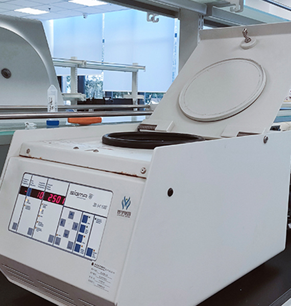 【佳學(xué)基因檢測】斯塔加特黃斑變性病（<font color='red'><font color='red'>stargardt</font></font> macular degeneration)基因解碼、<a href=http://www.hncxn.com/tk/jiema/cexujishu/2021/31933.html>基因檢測</a>