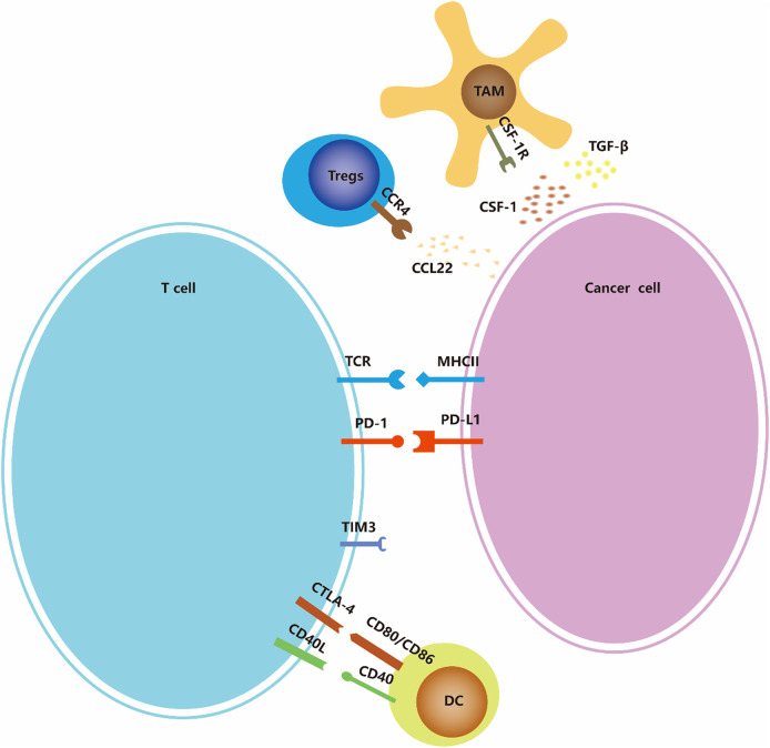 包含圖片、插圖等的外部文件。對(duì)象名稱為 fonc-13-1103147-g002.jpg