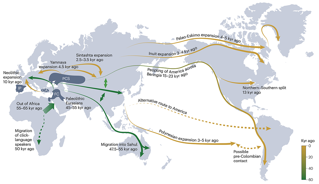 根據(jù)基因組數(shù)據(jù)推斷人類遷徙的時間線和路線