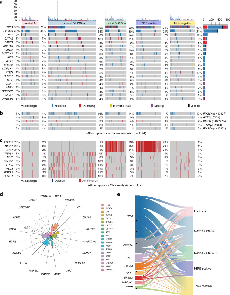 圖2:醫(yī)學基因檢測如何幫助乳腺癌患者找到靶向藥物？02