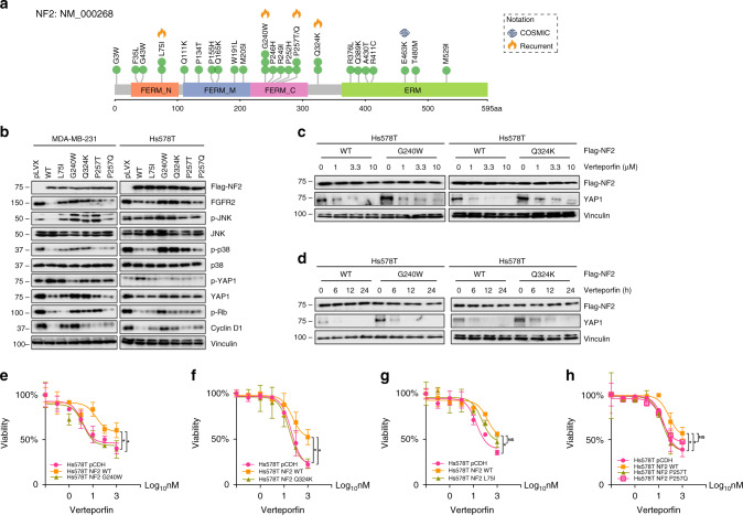 圖6醫(yī)學基因檢測如何幫助乳腺癌患者找到靶向藥物？
