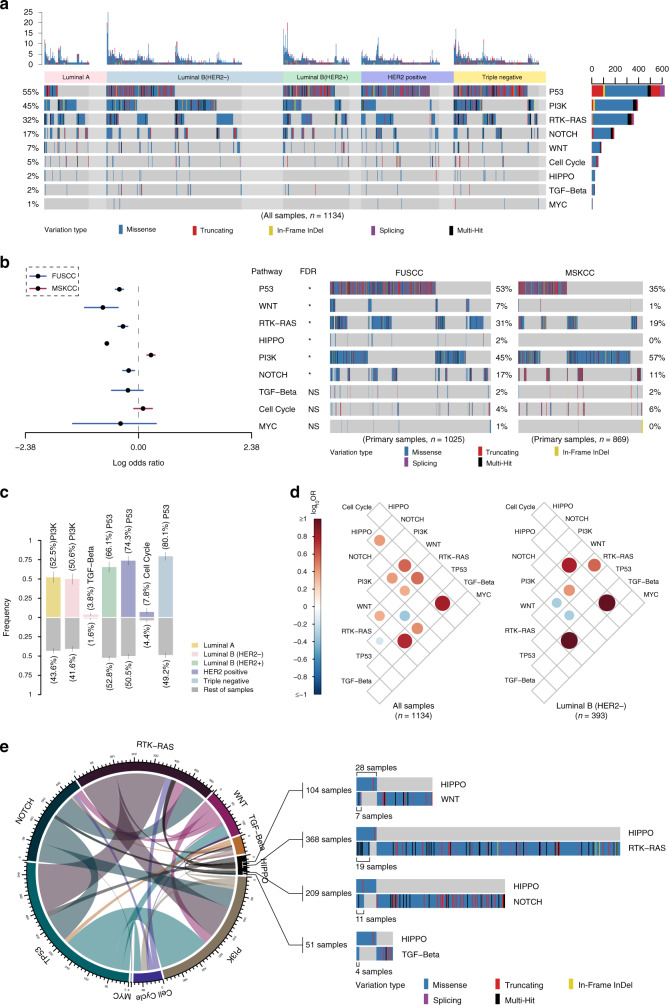 圖4醫(yī)學基因檢測如何幫助乳腺癌患者找到靶向藥物？